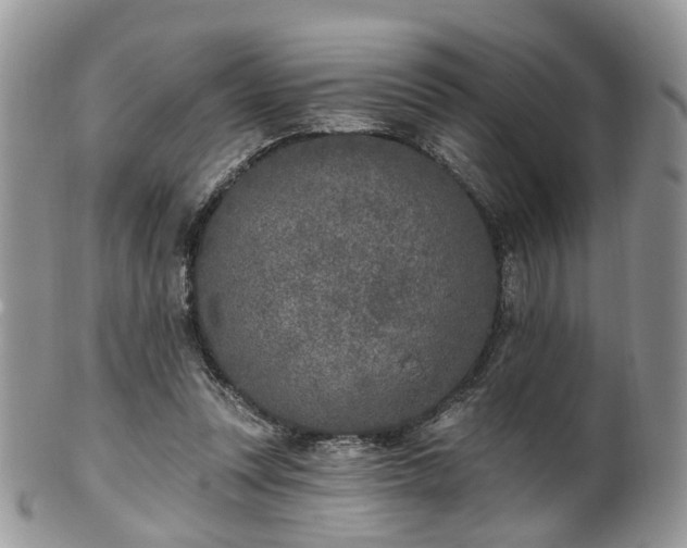 X0000100410351200806131041