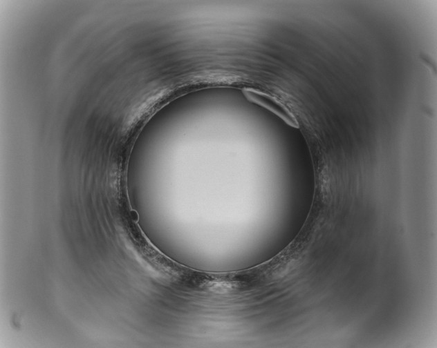 X0000100410352200806131041