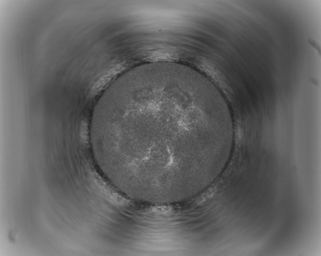 X0000100410353200806131041