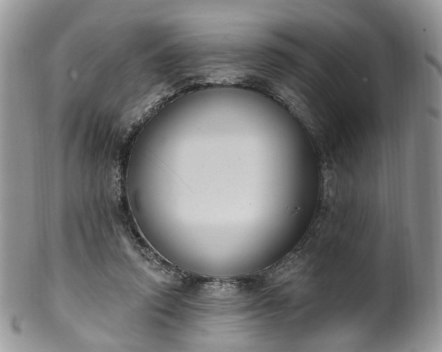 X0000100410354200806131041