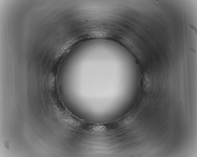 X0000100410355200806131041