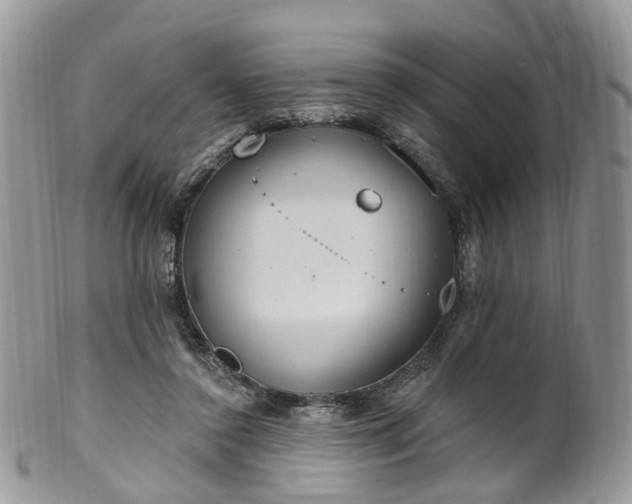 X0000100410356200806131041