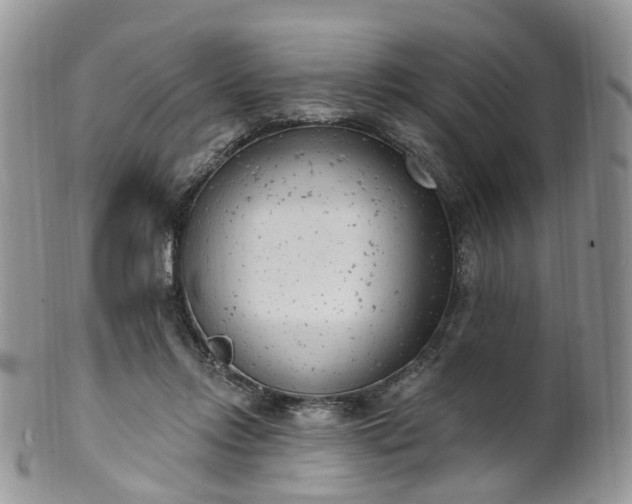 X0000100410358200806131041