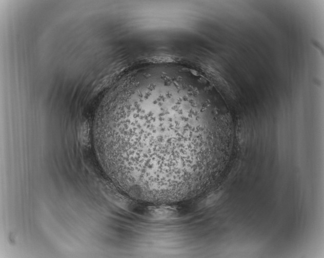 X0000100410359200806131041