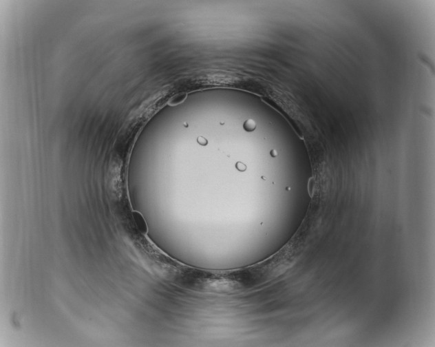 X0000100410360200806131041