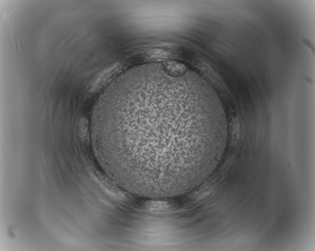 X0000100410361200806131041