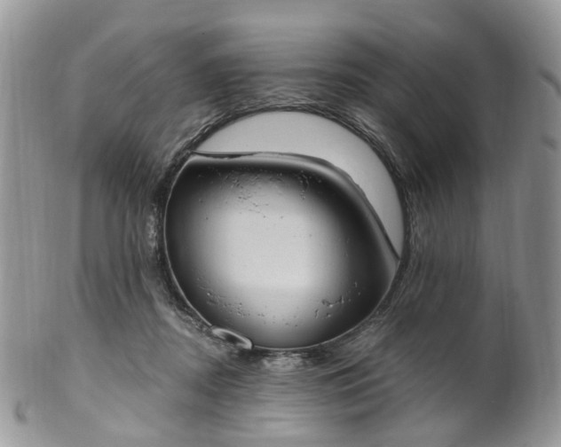 X0000100410362200806131041