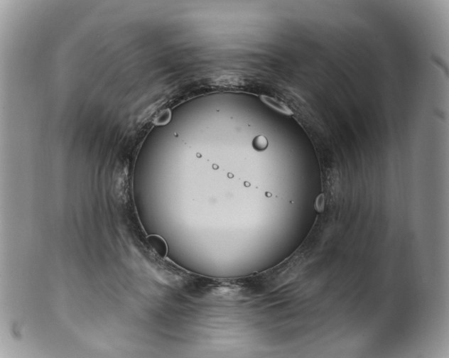 X0000100410364200806131041