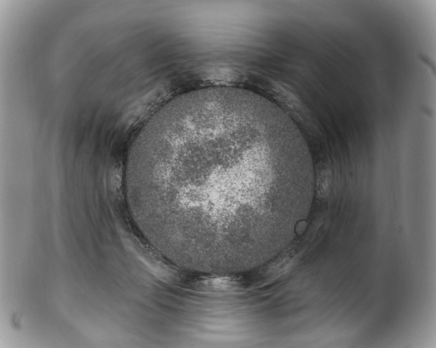 X0000100410365200806131041