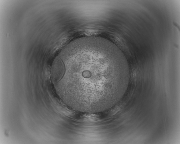 X0000100410367200806131041