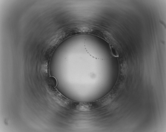 X0000100410368200806131041