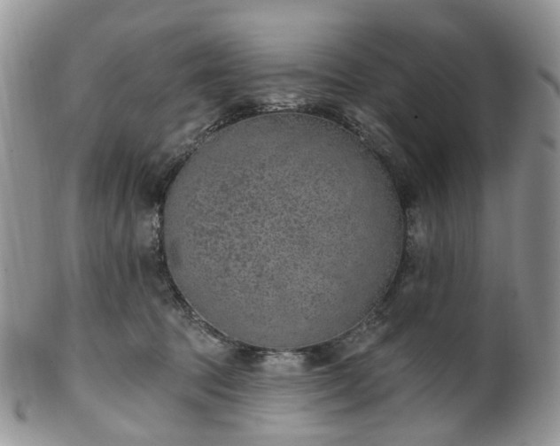 X0000100410369200806131041