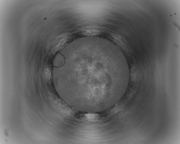 X0000100410371200806131041