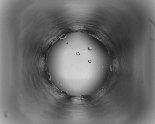 X0000100410372200806131041