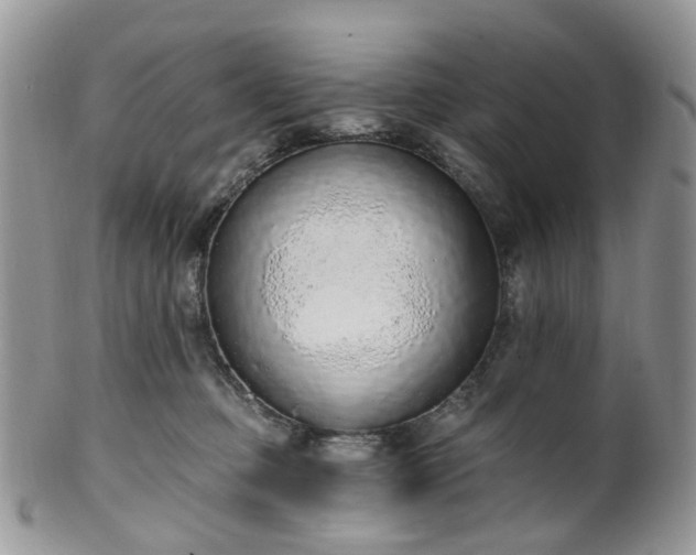 X0000100410373200806131041