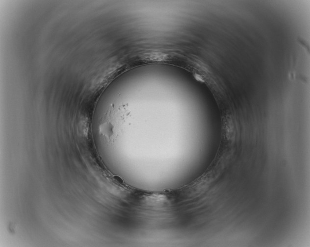 X0000100410374200806131041