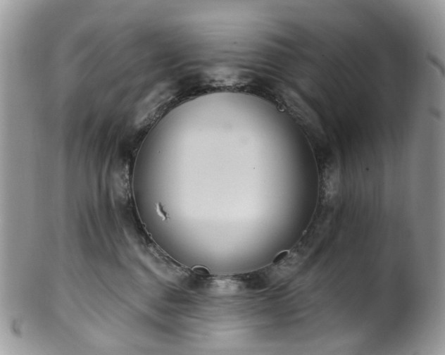 X0000100410376200806131041