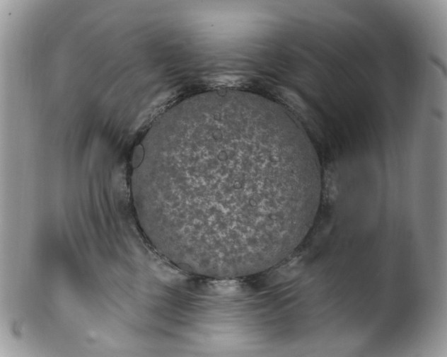 X0000100410377200806131041