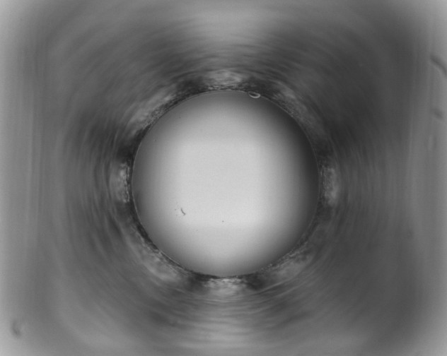 X0000100410378200806131041