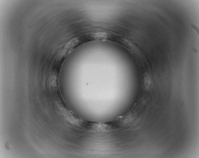 X0000100410379200806131041