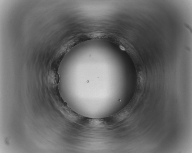 X0000100410380200806131041