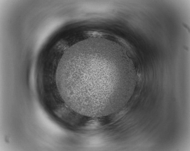 X0000100410381200806131041