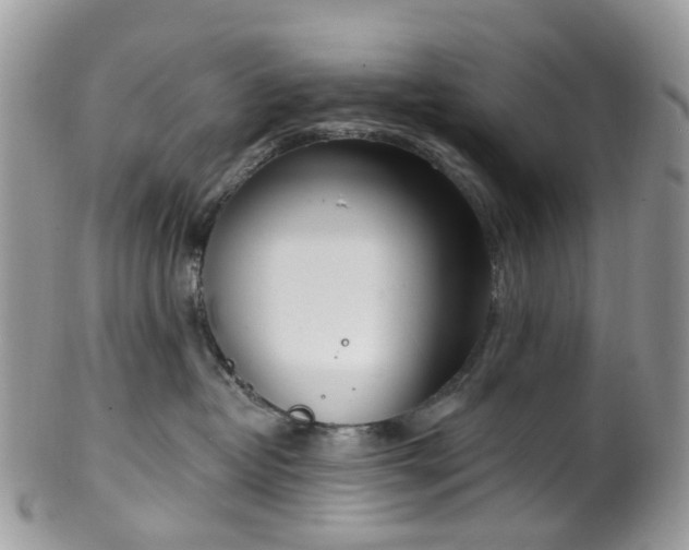 X0000100410382200806131041