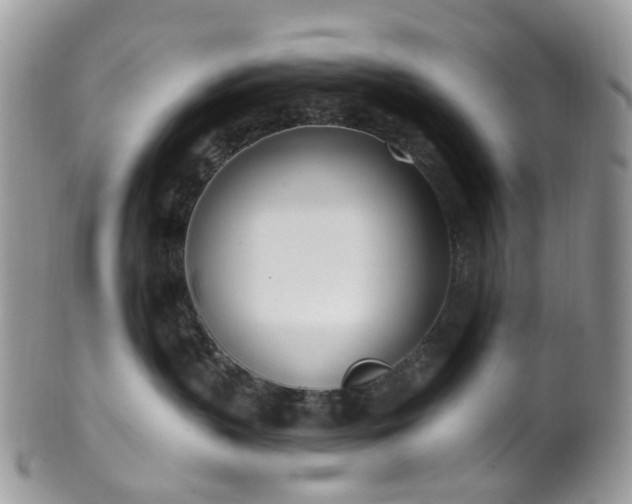 X0000100410383200806131041