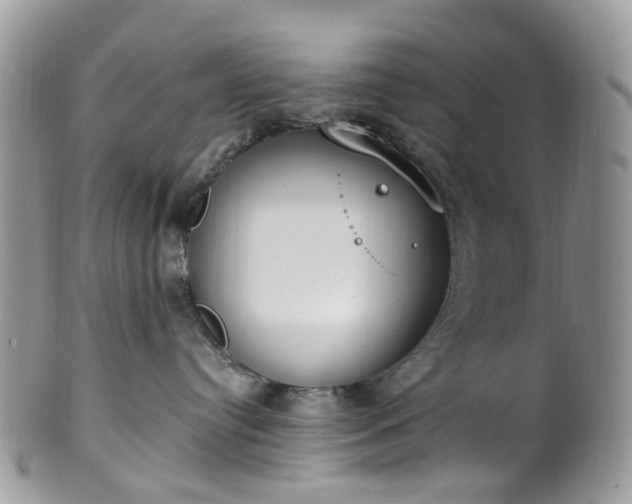 X0000100410384200806131041