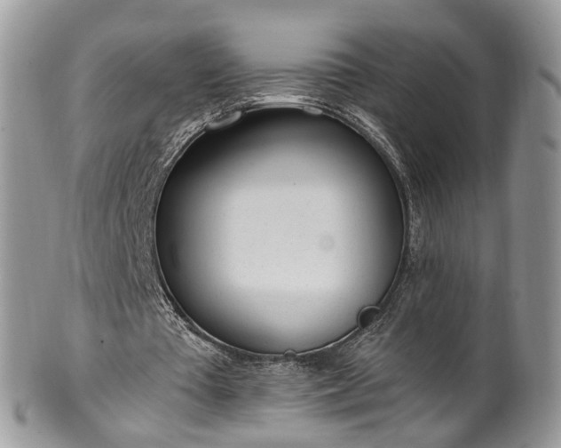 X0000100410385200806131041