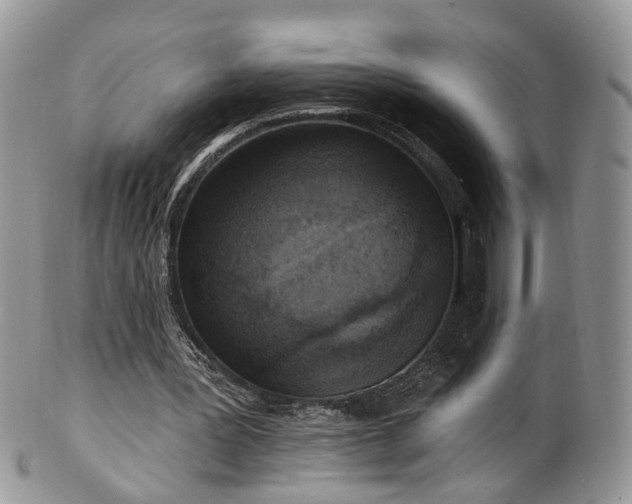 X0000100410387200806131041