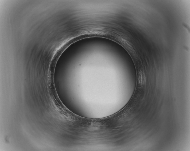 X0000100410388200806131041