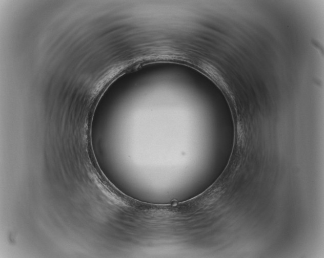 X0000100410389200806131041