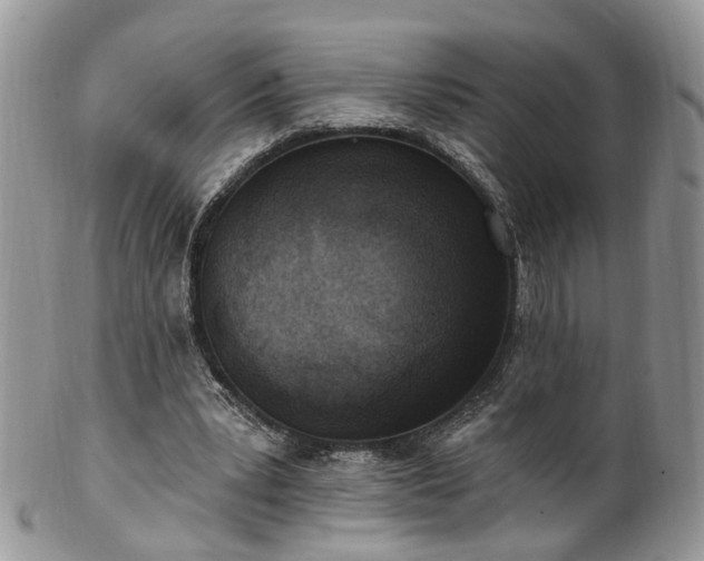 X0000100410391200806131041