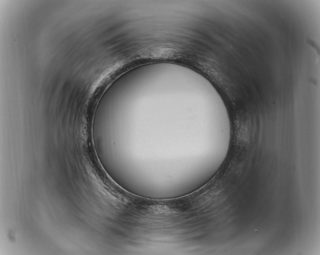 X0000100410392200806131041