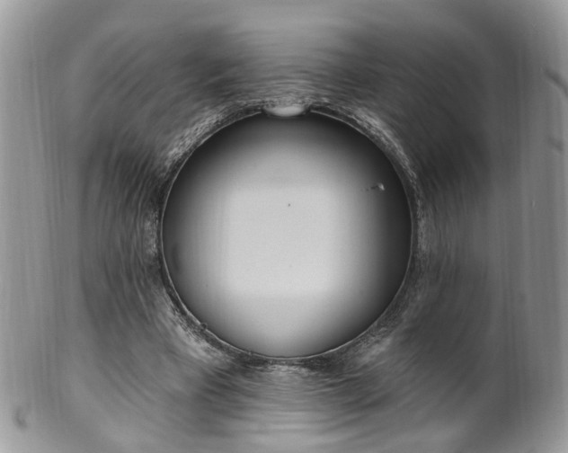 X0000100410393200806131041