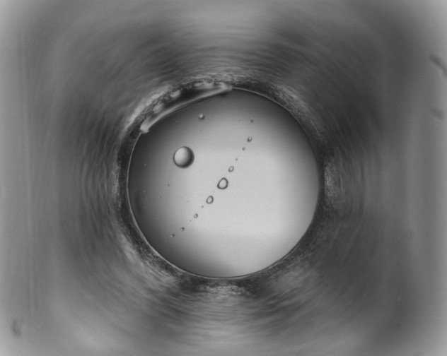 X0000100410396200806131041