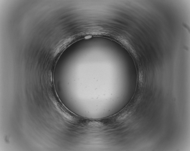 X0000100410397200806131041