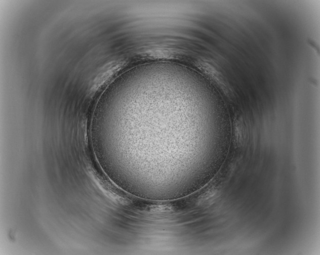 X0000100410398200806131041