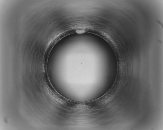 X0000100410399200806131041