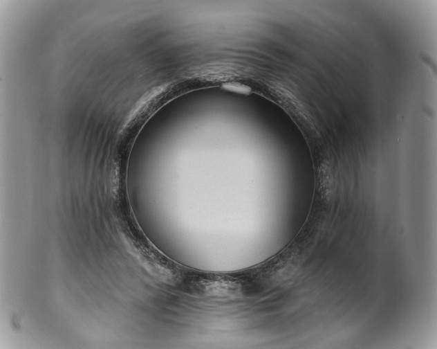 X0000100410400200806131041