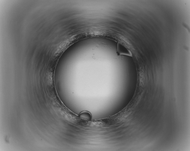 X0000100410401200806131040