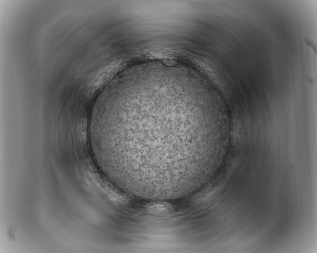 X0000100410402200806131040