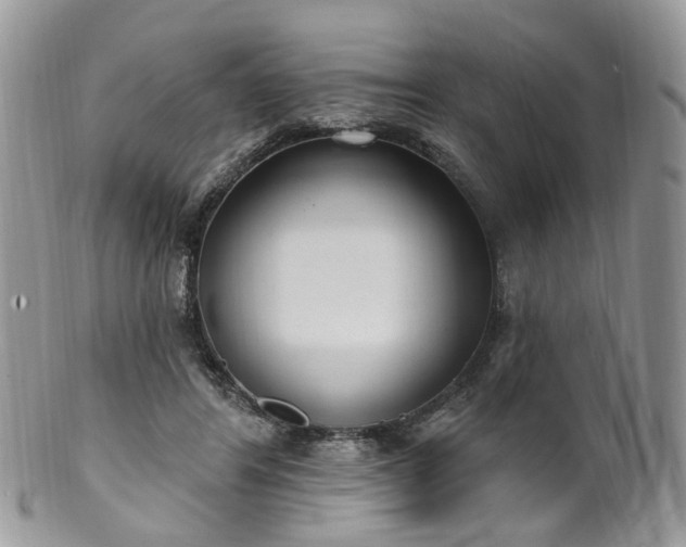 X0000100410404200806131040