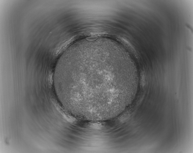 X0000100410405200806131040