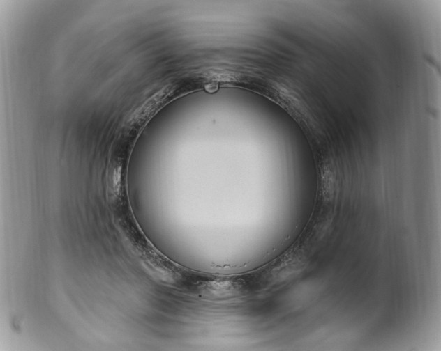 X0000100410406200806131040