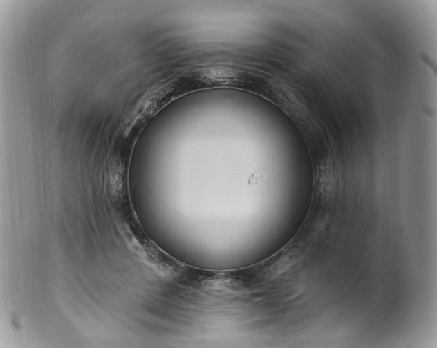 X0000100410408200806131040