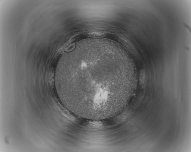 X0000100410409200806131040