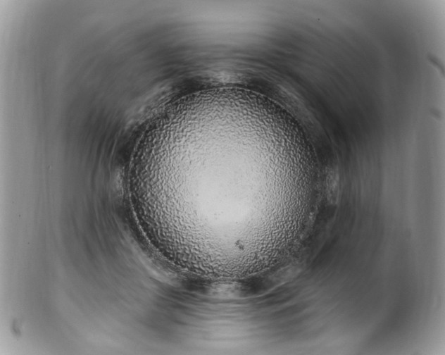 X0000100410410200806131040