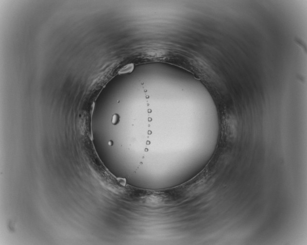 X0000100410412200806131040